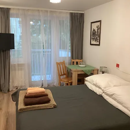 Sanatorium Uzdrowiskowe Watra Hotel Krynica-Zdrój